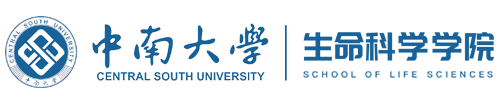 威廉希尔中文官方网站门户网站