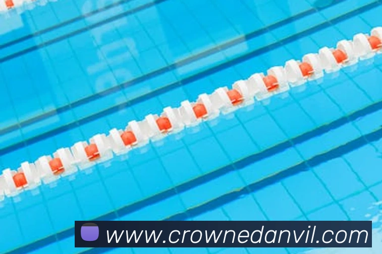 皇冠crown体育平台服务体系